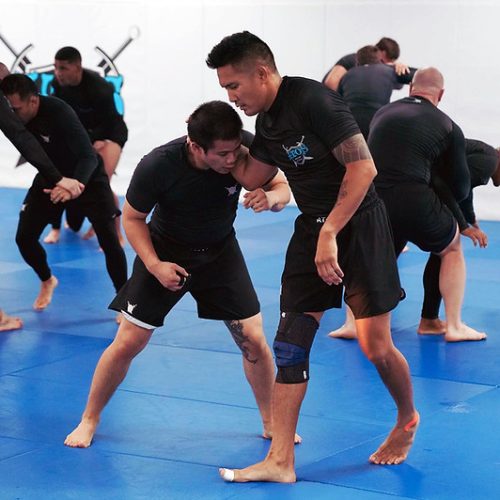 adults-programs-no-gi